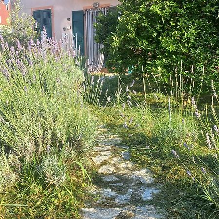 La Casa Di Ulivi Villa Piano di Follo Exterior foto